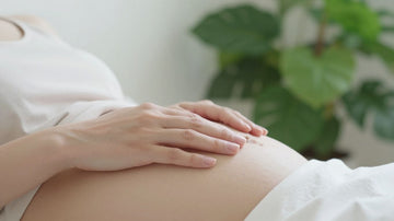 Guía completa sobre el desarrollo fetal y los cambios maternos en la semana 10 de embarazo