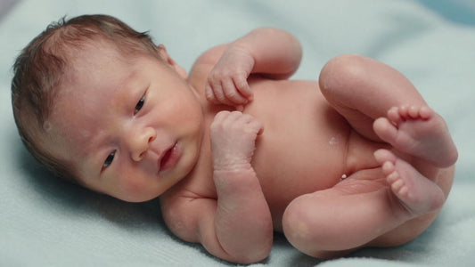 Feto de 22 semanas, desarrollo detallado, características.