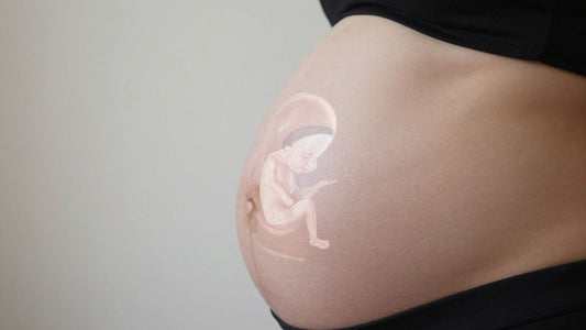 Mujer embarazada de 23 semanas con feto.