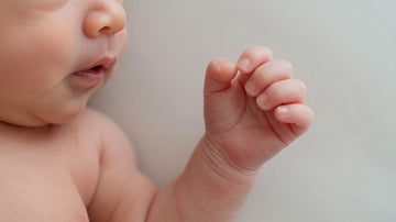 Feto de 32 semanas en desarrollo.